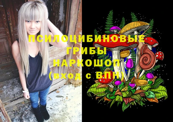 ALPHA-PVP Алексеевка