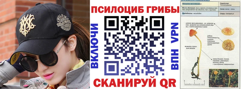 blacksprut ТОР  Осташков  Галлюциногенные грибы мухоморы  где купить наркоту 